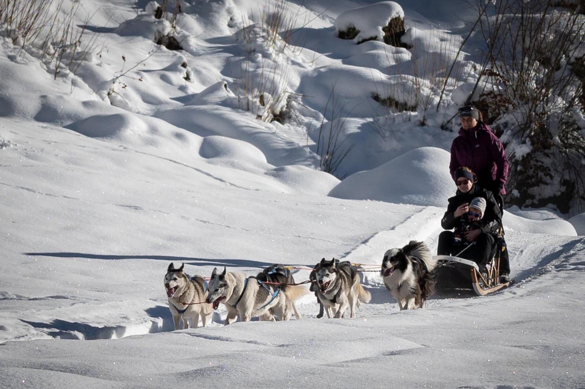 Huettenhotel Husky Lodge Muotathal Exteriér fotografie