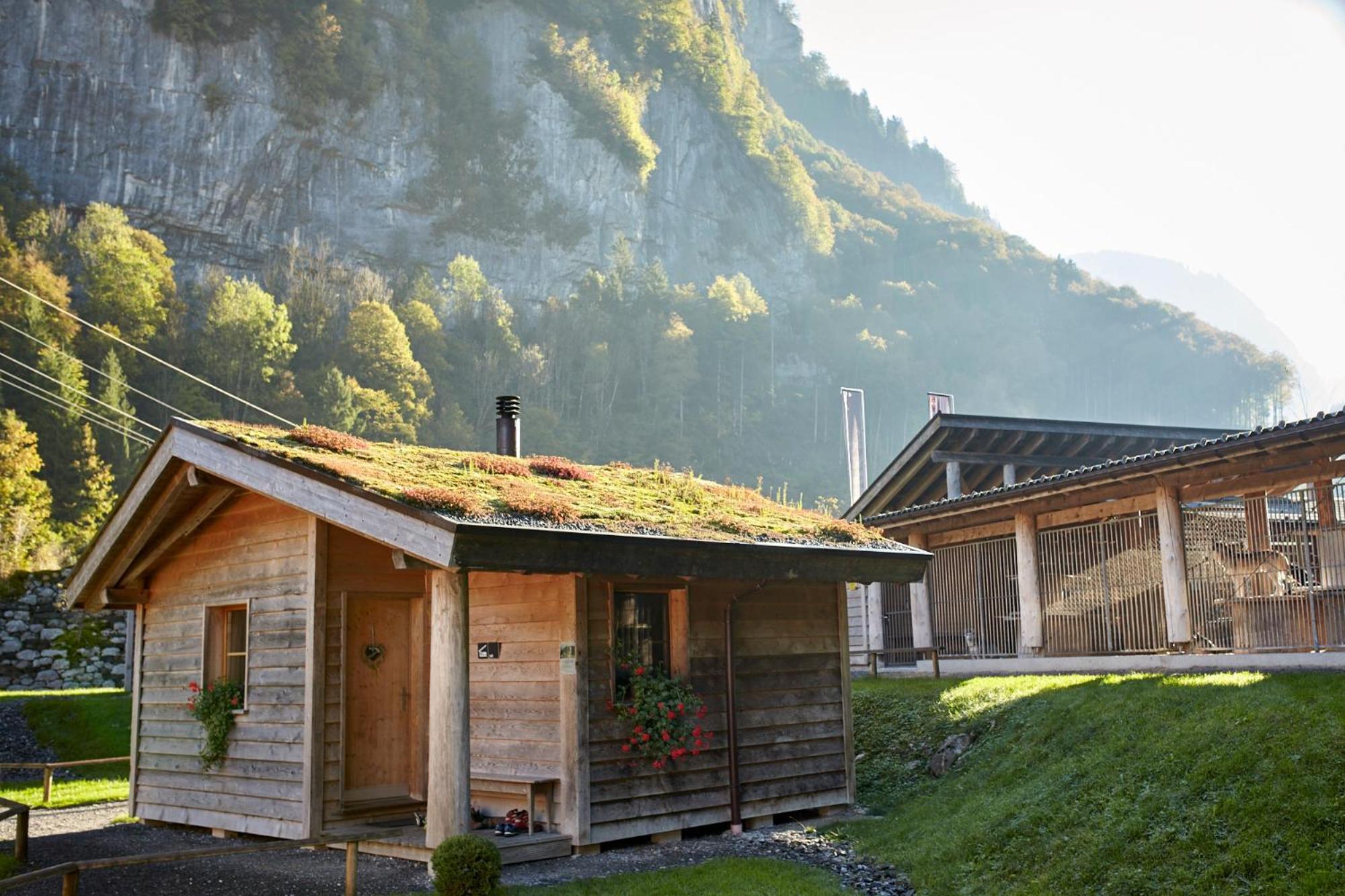 Huettenhotel Husky Lodge Muotathal Exteriér fotografie