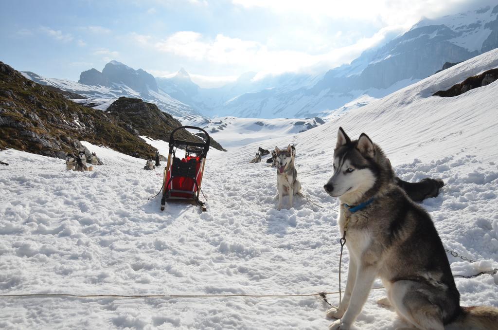 Huettenhotel Husky Lodge Muotathal Exteriér fotografie